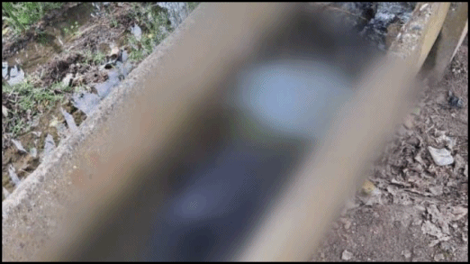 Adana’da sulama kanalında kadın cesedi bulundu