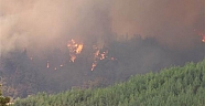 Adana ormanlık alanda çıkan yangın kontrol altına alındı