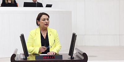 CHP Adana Milletvekili Dr. Müzeyyen Şevkin, “Bakanlığın TYP aldatmacası son bulmalıdır”