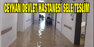 Ceyhan Devlet Hastanesi Acil Servisi Sele teslim